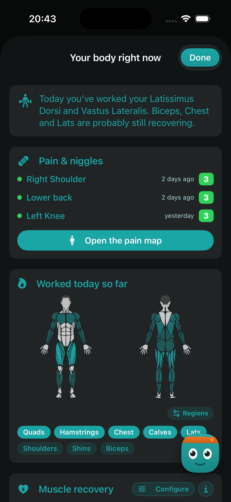 The muscle recovery map — what you hit, what's ready